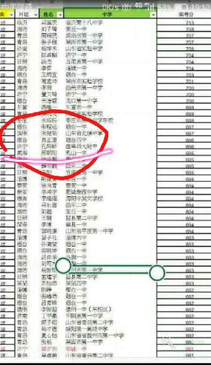 2013年山东省高考文理科状元是谁？多少分？