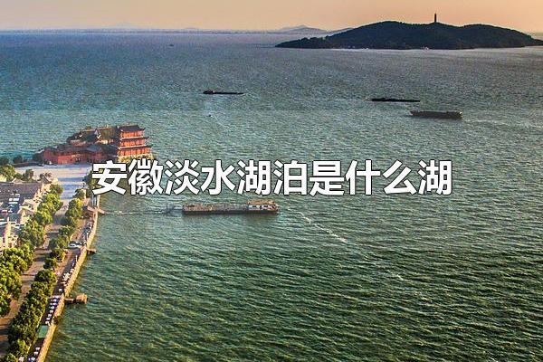巢湖水面的面积是多少平方公里？