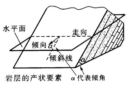 地形变测量反映的现代构造运动