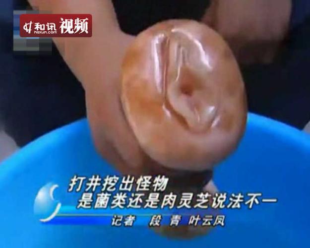 肉灵芝事件的事件详情