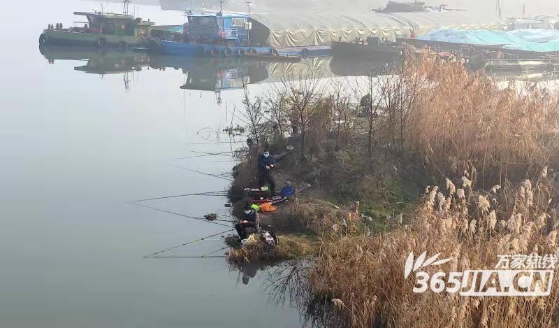 巢湖岸边有很多钓鱼人，在巢湖钓鱼是好还是不好？