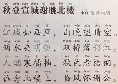 楼薄薄的介绍
