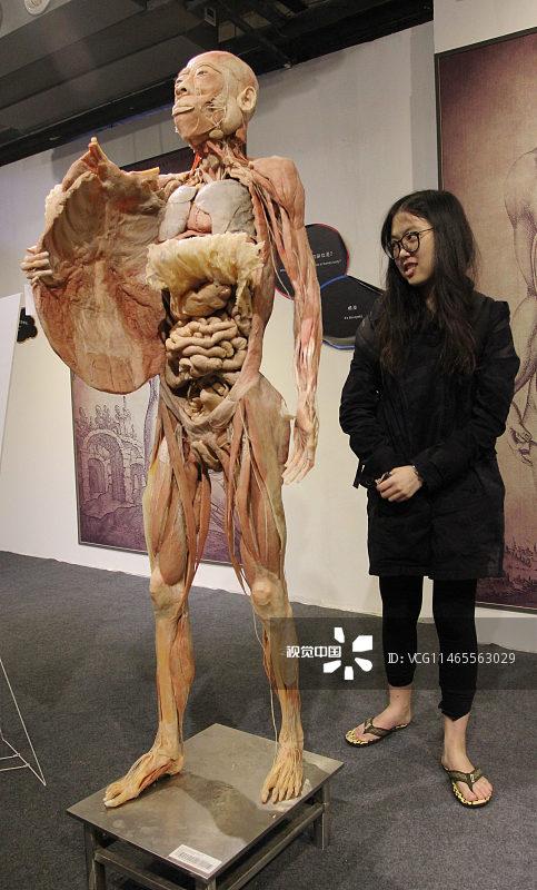 人体标本是怎么做的