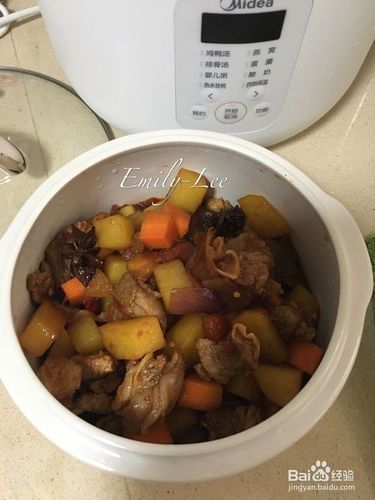 麻烦大家推荐一份电炖锅食谱
