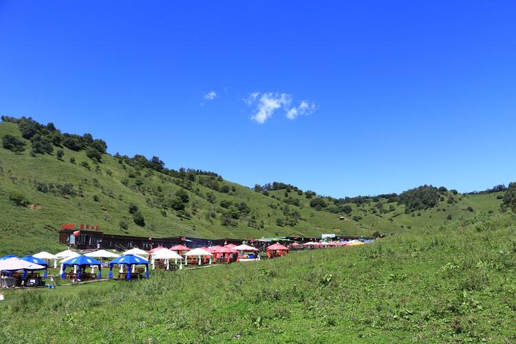 陕西关山草原旅游风景区的简介