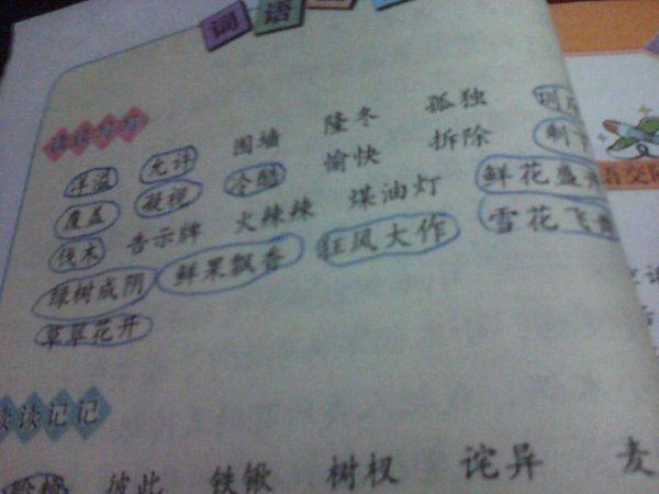 开采是什么词语