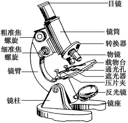 显微镜中的机械部分和光学部分分别都是什么？