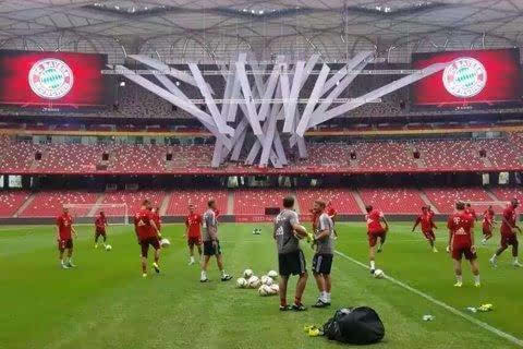 鸟巢坍塌究竟是怎么回事