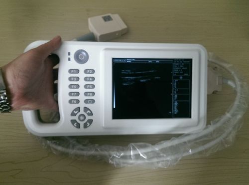 
</p>
<p>
便携式超声诊断仪支持4G网络吗
</p>
<p>
