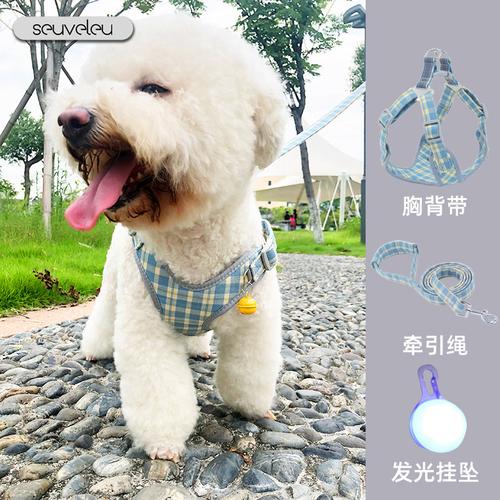狗狗项圈、胸背带、牵引绳该如何选择？