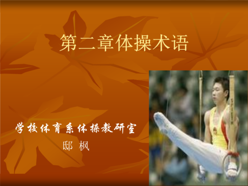 体操专业术语有哪些？