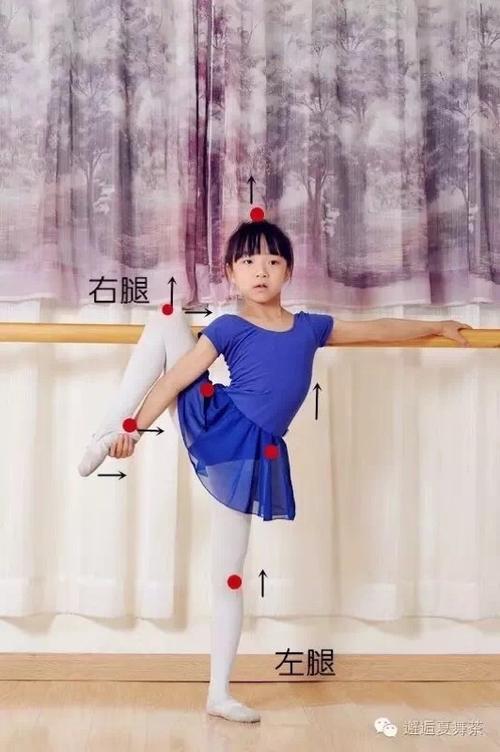把杆踢旁腿的动作要领