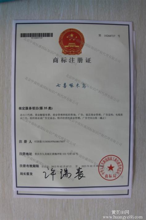 脉冲仪注册商标属于哪一类？