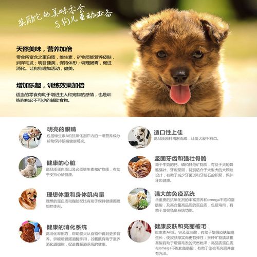 一般说来，狗狗宠物用品的分类有哪些