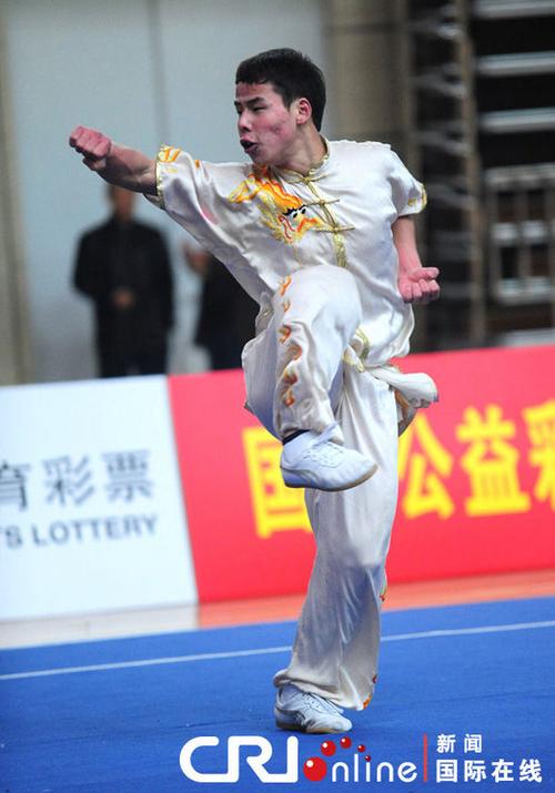 武术翻跟斗的种类？