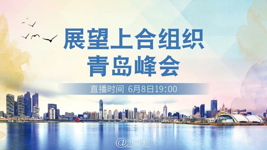 上合峰会青岛是哪一年？
