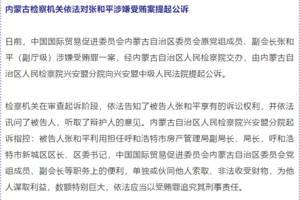 张和平的贿赂调查