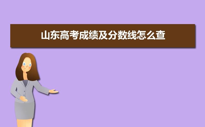 山东省2015年高考成绩怎么查询