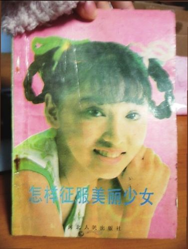 《怎样征服美丽少女