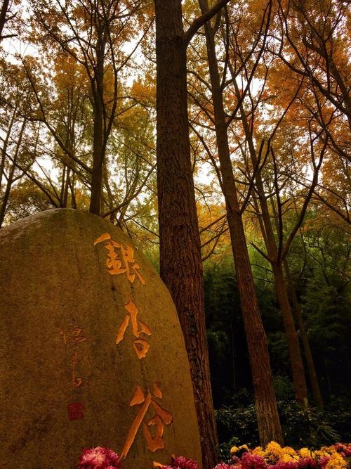 南京清凉山好玩吗 什么季节去最好