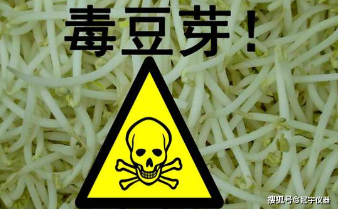 什么是毒豆芽