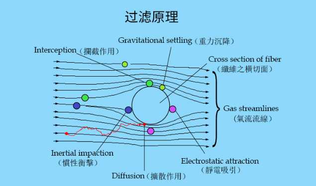 按照过滤精度不同，常用的物理过滤方式有哪几种