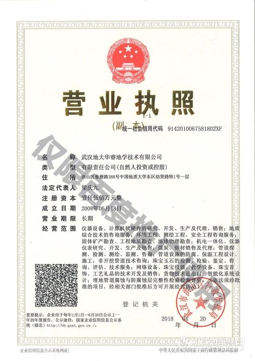 惟敏市场研究咨询(武汉)有限公司怎么样？