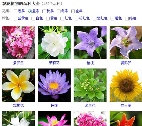 花的种类有哪些？