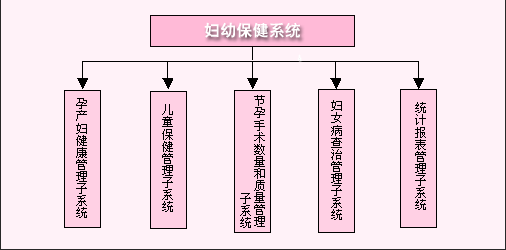妇幼保健信息管理系统的主要功能