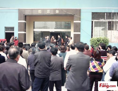 今日丽舍的相关新闻事件