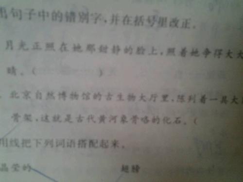 找出句子的错字及答案