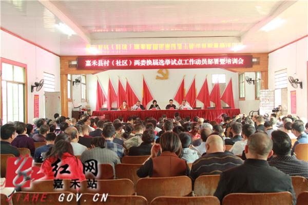 
嘉禾县红网如何投稿
