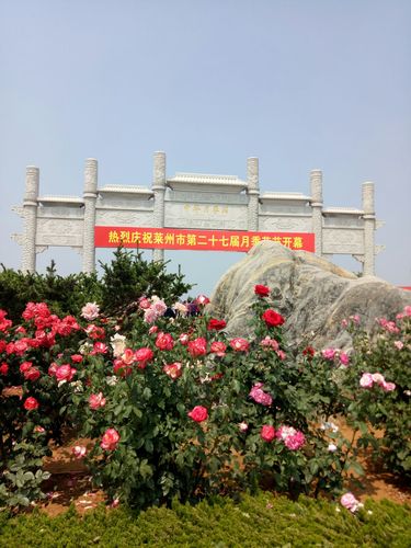 莱州月季花节是什么时候开始的