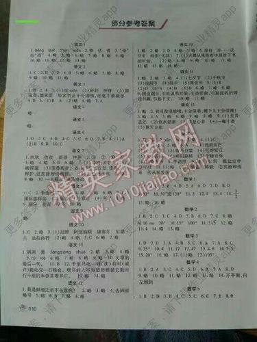 暑假生活答案