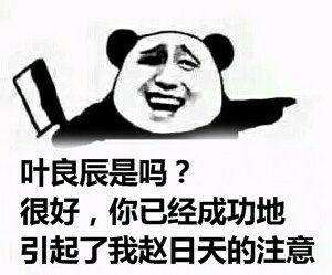 叶良辰 是谁