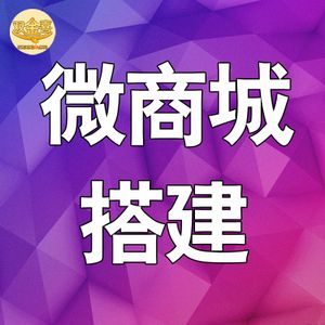 微店代运营哪家公司比较专业？