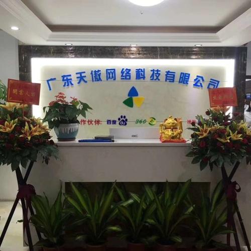 广东地区的出名的网络营销公司。。