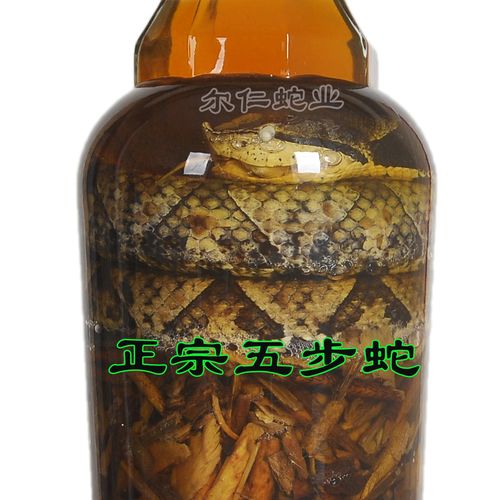 蛇酒配方大全