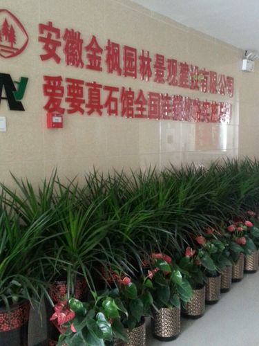 合肥孟德园林景观有限公司怎么样？