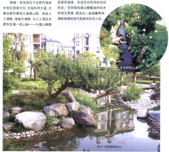 合肥市有哪些园林景观公司或者设计院的，