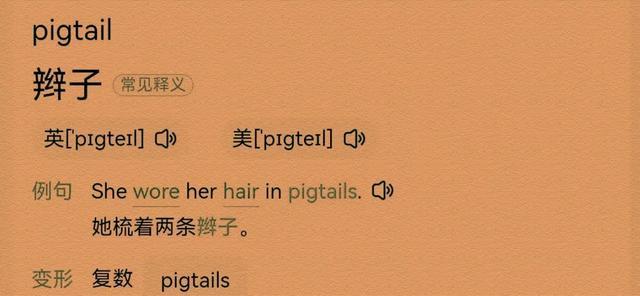 pigtail是什么意思