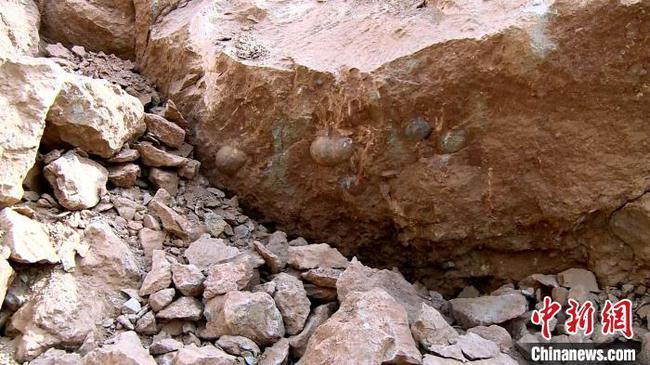 江西工地挖出6600万年前恐龙蛋化石，网友怎么看？