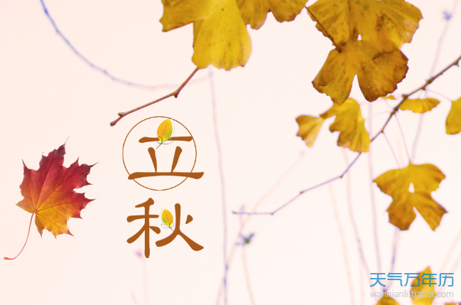 今年几号立秋？