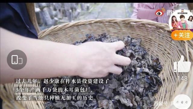 陕西一海归硕士一年卖出3000万木耳，他是如何做到的？
