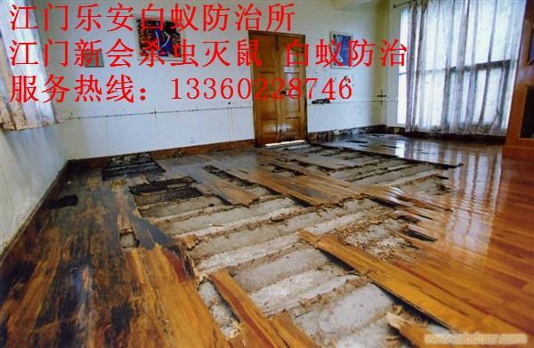 如何治理白蚁？