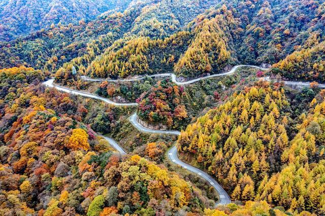 四川光雾山在哪里