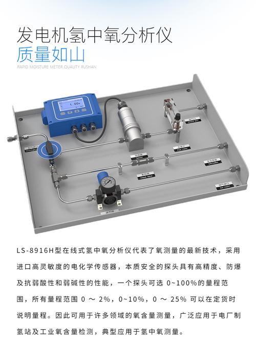 在线式氢中氧(HNP  H2-O2)、氧中氢分析仪(HNP  O2-H2)这个仪器的主要特点是什么？