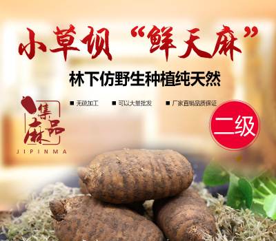 天麻基地-天麻之乡-天麻种植技术-人工种植天麻-天麻的加工技术-天麻销售首选湖北宜昌天麻之乡