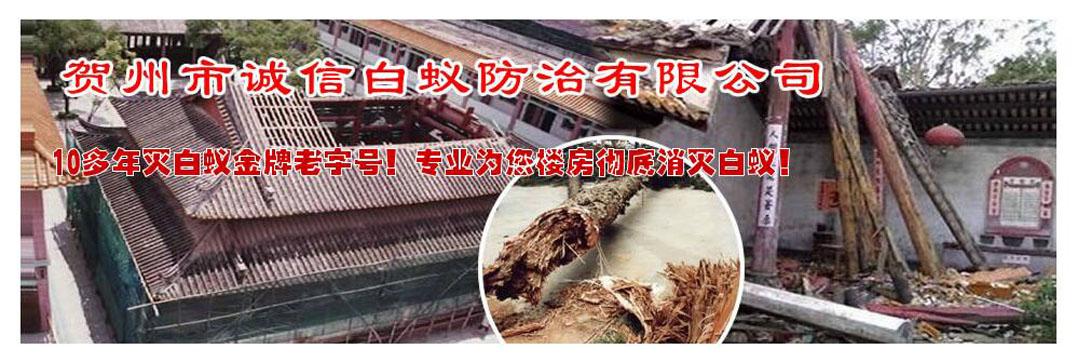 贺州市诚信白蚁防治有限公司怎么样？