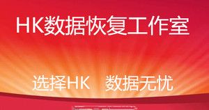 潍坊哪里有数据恢复的